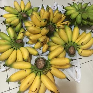 tips agar pisang tidak cepat busuk, cara agar pisang tidak cepat cokelat, cara agar pisang tidak cepat terlalu masak
