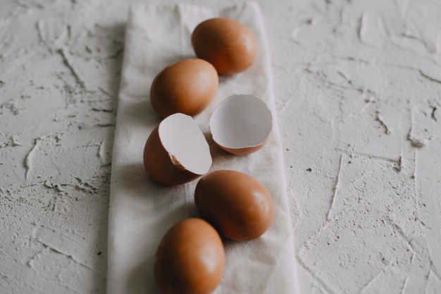 cangkang telur, telur, egg shell, eggshell, eggshells, pupuk, pupuk cangkang telur, pupuk tanaman