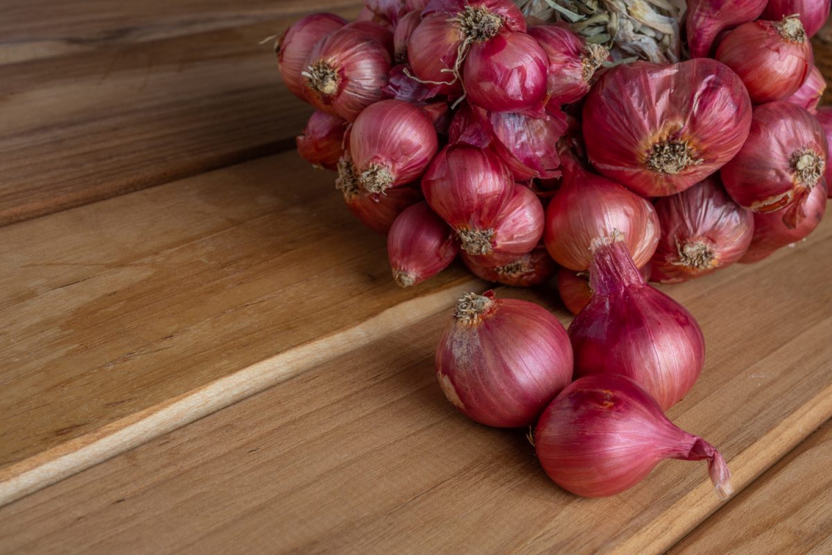 memilih bawang merah, bawang, bawang merah, onion, red onion, manfaat bawang merah, manfaat bawang merah untuk kesehatan, bawang merah gratis, gratis, promo