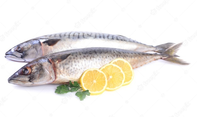 ikan, kesegaran ikan, tingkat kesegaran ikan, warna daging, mata ikan, aroma ikan, bau ikan